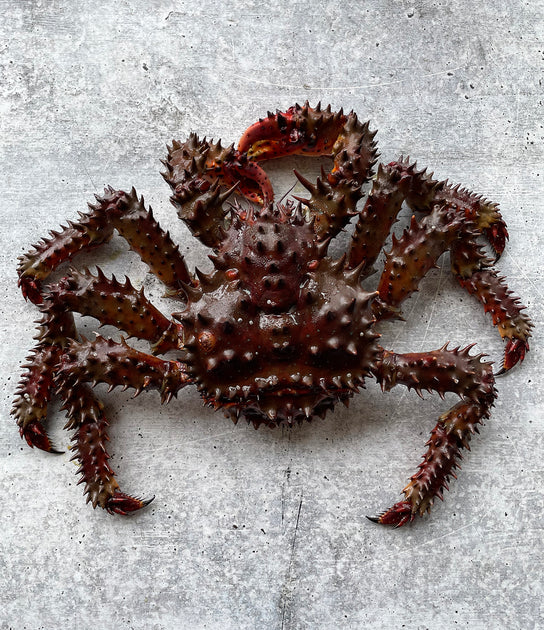 crab-1kg-price